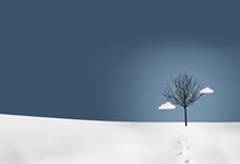 江苏省电子税务局，数字化税务服务的先行者