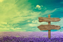 河北税务，助力经济发展的坚实后盾